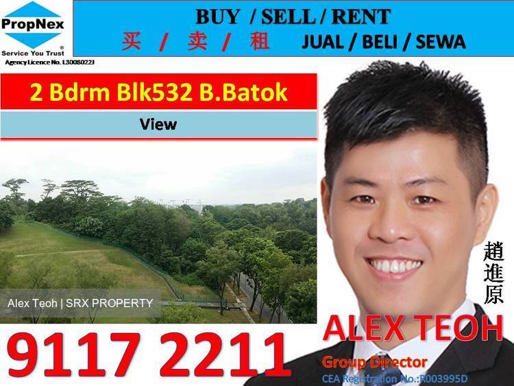 Bukit Batok Street 51 thumbnail photo